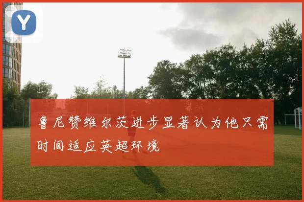 鲁尼赞维尔茨进步显著认为他只需时间适应英超环境