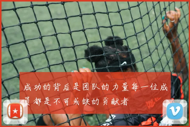 成功的背后是团队的力量每一位成员都是不可或缺的贡献者