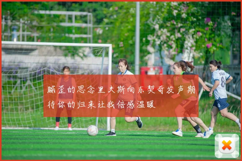 腻歪的思念里夫斯向东契奇发声期待你的归来让我倍感温暖