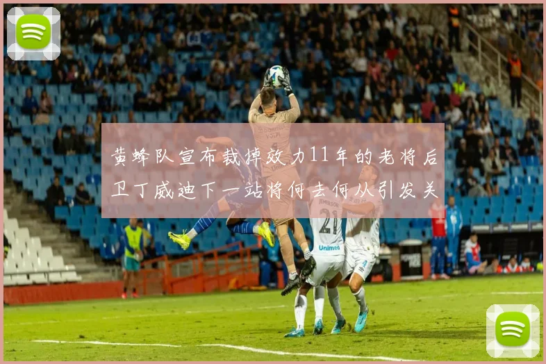 黄蜂队宣布裁掉效力11年的老将后卫丁威迪下一站将何去何从引发关注