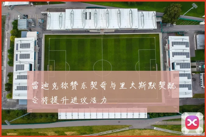 雷迪克称赞东契奇与里夫斯默契配合将提升进攻活力
