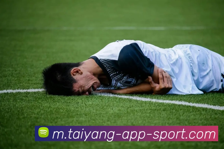 太阳城平台生态图